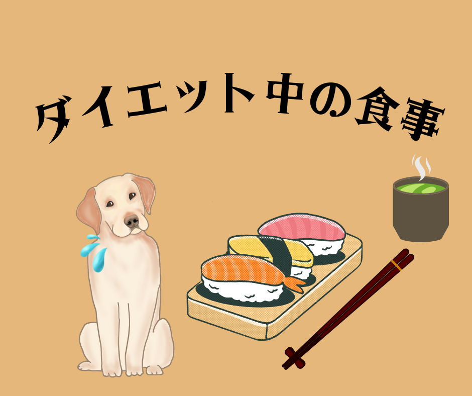 シナジム丹波氷上店のお得な情報。今回はダイエット中の食事についてです。